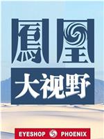 凤凰大视野：月在他乡明在线观看