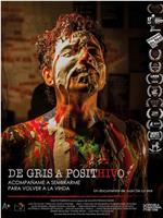 DE GRIS A POSITHIVO在线观看