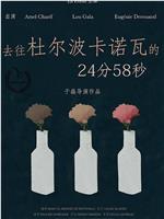 去往杜尔波卡诺瓦的24分58秒