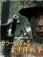 カラーでみる太平洋戦争  ~3年8か月・日本人の記録~在线观看
