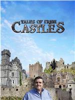 爱尔兰城堡传说在线观看和下载
