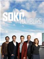 SOKO Hamburg Season 1在线观看