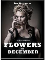 Flowers in December在线观看和下载
