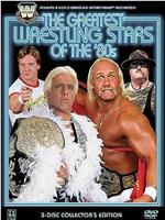 WWE Legends: Greatest Wrestling Stars of the 80's在线观看