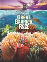 大堡礁探险在线观看