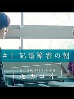 夜の連続TikTok小説 セカコイ在线观看