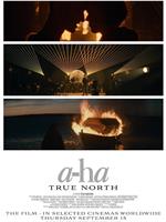 a-ha: True North在线观看