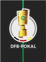 DFB Pokal 2013/2014在线观看和下载