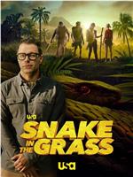 Snake in the Grass Season 1