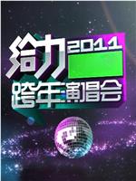 湖南卫视“给力2011”跨年演唱会在线观看