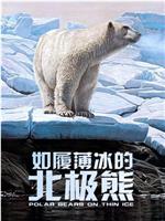 Polar Bears: Living on Thin Ice 第一季在线观看