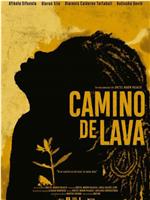 Camino de lava在线观看