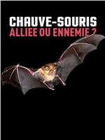 Chauve-souris : alliée ou ennemie ?在线观看