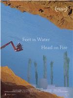 Feet in Water, Head on Fire