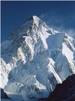 K2 众山之巅在线观看