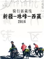 骑行新藏线2016