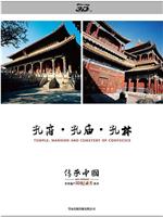 传承·中国 世界遗产3D纪录片系列之孔府、孔庙、孔林在线观看
