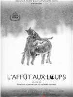 L'affût aux loups