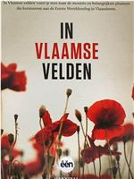 In Vlaamse Velden在线观看