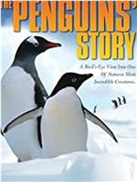 企鹅的故事在线观看