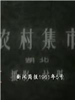 新闻简报1961年第5号：农村集市在线观看和下载