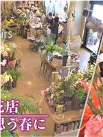 ドキュメント72時間：宮城・生花店 あなたを思う春に在线观看