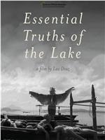 湖泊的本质真相在线观看和下载