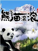 熊猫滚滚——寻找新家园在线观看