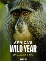 狂野非洲 第一季