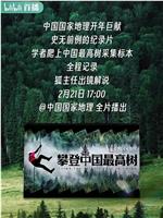 攀登中国最高树在线观看和下载
