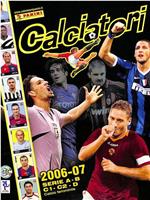 Serie A 2006/2007在线观看