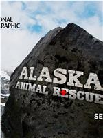 阿拉斯加野生动物救援 第二季