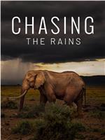 Chasing the Rains Season 1在线观看和下载