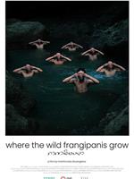 Where the Wild Frangipanis Grow在线观看和下载