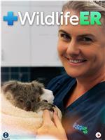 Wildlife ER Season 2在线观看