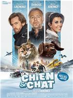 Chien et Chat在线观看和下载