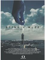 Stíny v mlze