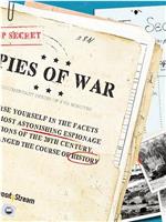 Spies of War Season 1在线观看和下载