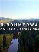 欧洲荒野：波希米亚森林 第一季在线观看