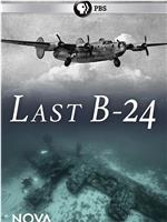 Last B-24在线观看