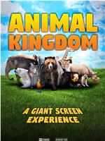 Animal Kingdom: A Tale of Six Families在线观看