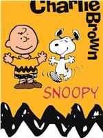 Snoopy's Football Career在线观看