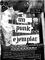 Un punk ejemplar