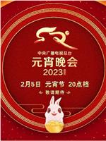 中央广播电视总台2023年元宵晚会