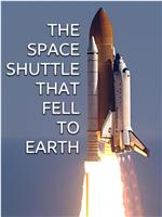 The Space Shuttle That Fell to Earth在线观看和下载