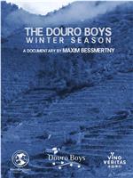 The Douro Boys: Winter Season在线观看