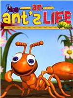蚂蚁的一生