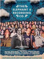 The Elephant 6 Recording Co.在线观看