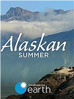 阿拉斯加之夏在线观看和下载