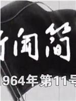 新闻简报1964年第11号